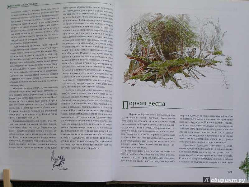 Иллюстрация 30 из 48 для Моя жизнь в лесу и дома - Валентин Пажетнов | Лабиринт - книги. Источник: Shurshun