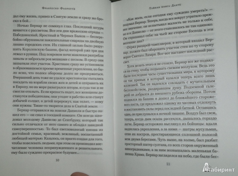 Иллюстрация 7 из 25 для Тайная книга Данте - Франческо Фьоретти | Лабиринт - книги. Источник: Леонид Сергеев