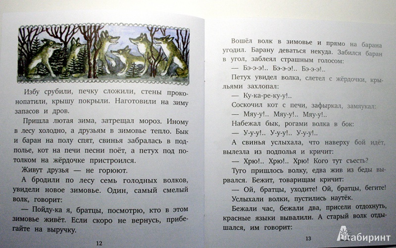 Иллюстрация 20 из 21 для Зимовье | Лабиринт - книги. Источник: Chochara
