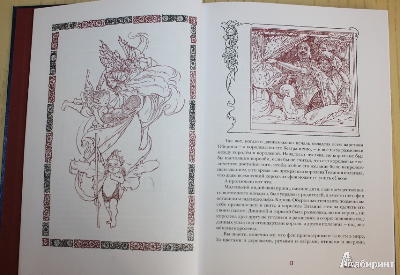 Иллюстрация 9 из 63 для Волшебный край короля Оберона | Лабиринт - книги. Источник: КНИЖНОЕ ДЕТСТВО