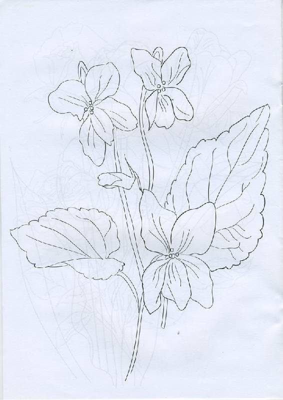 Иллюстрация 14 из 14 для Раскраска: Цветы (Р040104) | Лабиринт - книги. Источник: Pallada