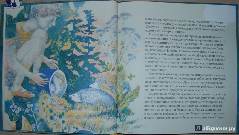 Иллюстрация 10 из 46 для Зверье мое - Виктор Лунин | Лабиринт - книги. Источник: Книжный кот