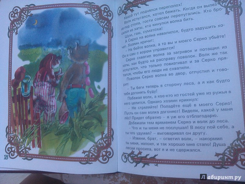 Иллюстрация 8 из 8 для Лесные сказки | Лабиринт - книги. Источник: Лимпи