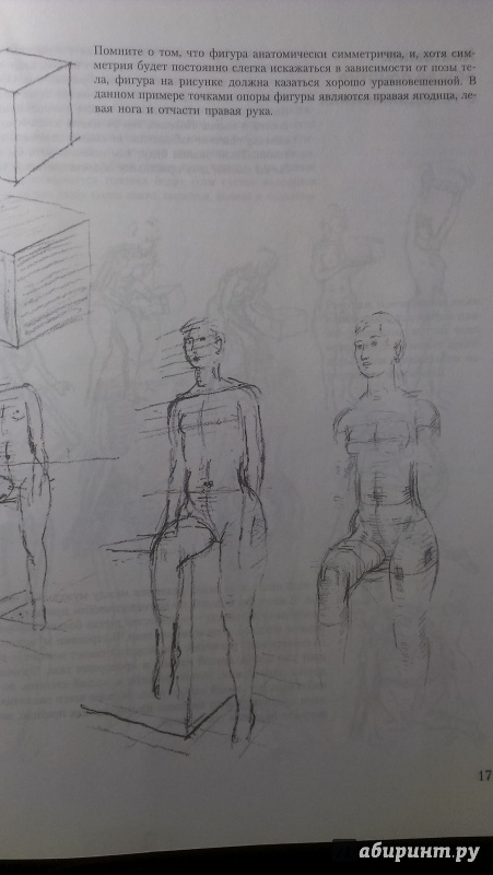 Иллюстрация 5 из 12 для Учитесь рисовать человеческое тело - Рой Спенсер | Лабиринт - книги. Источник: Юлия