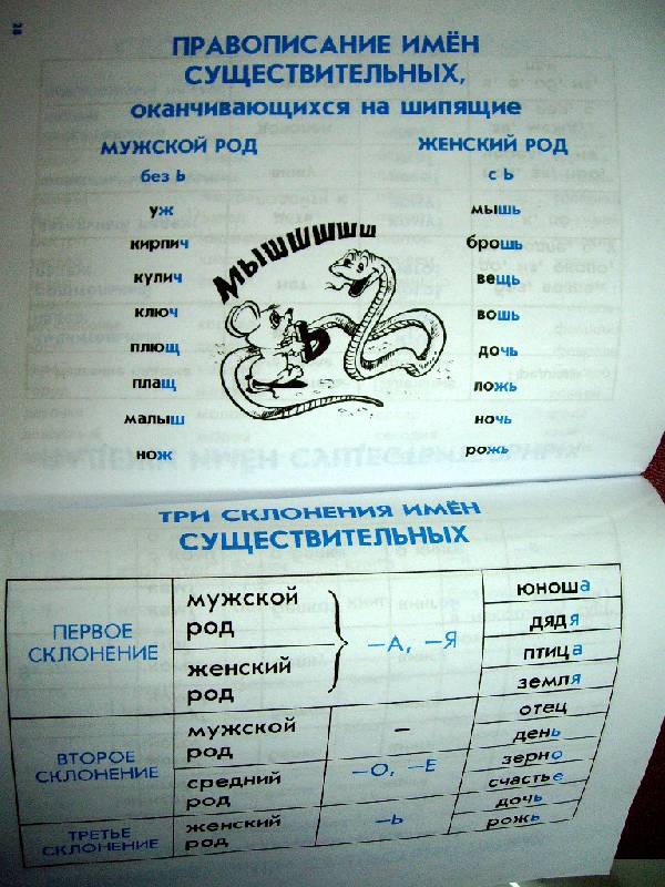 Иллюстрация 20 из 36 для Правила по русскому языку для начальных классов | Лабиринт - книги. Источник: Татиана