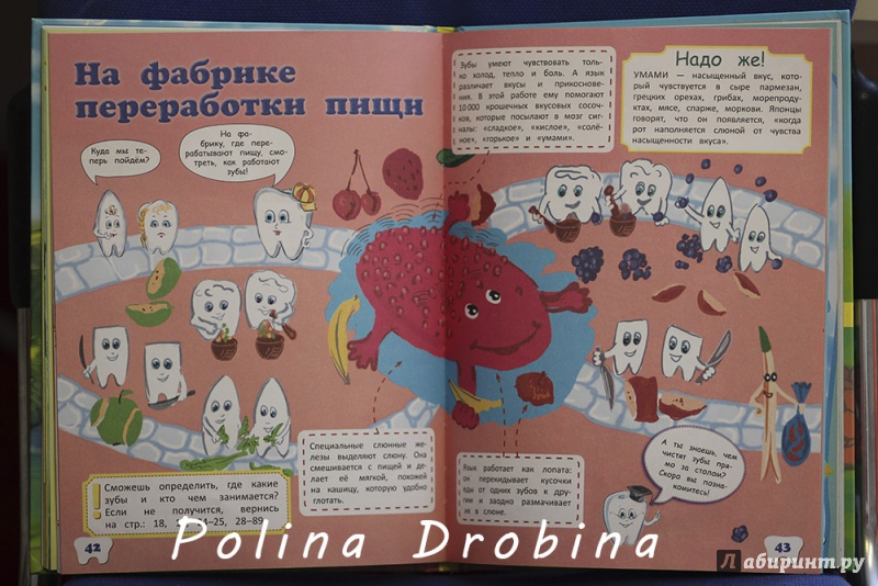 Иллюстрация 30 из 46 для Детям про зубки. Невероятное путешествие по Зубландии | Лабиринт - книги. Источник: Дробина  Полина