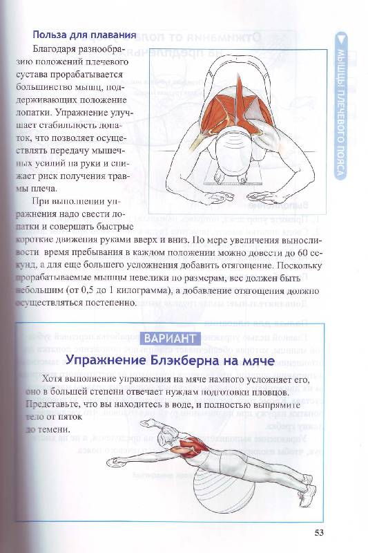 Иллюстрация 23 из 25 для Анатомия плавания - Йен Маклауд | Лабиринт - книги. Источник: Матрёна