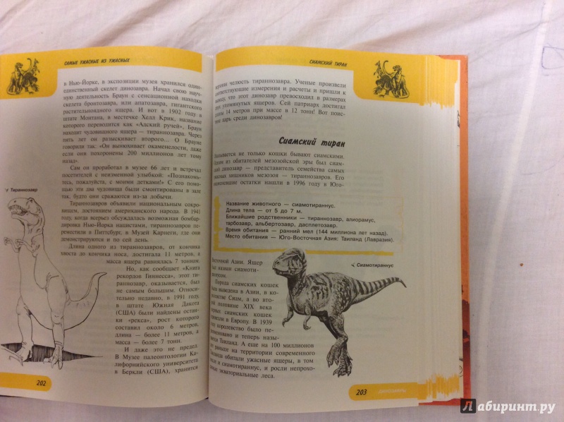 Иллюстрация 20 из 22 для Жизнь замечательных динозавров - Пахневич, Чегодаев | Лабиринт - книги. Источник: Alitalia