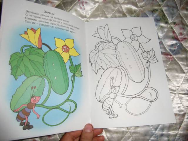 Иллюстрация 10 из 22 для Во саду ли, в огороде - Скребцова, Лопатина | Лабиринт - книги. Источник: Лимпи