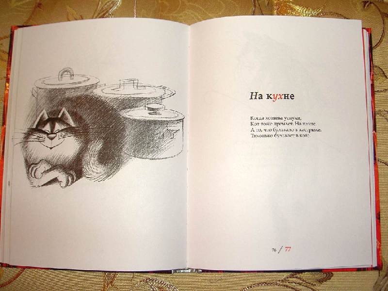 Иллюстрация 37 из 43 для Планета кошек - Усачев, Чижиков | Лабиринт - книги. Источник: hellgirl