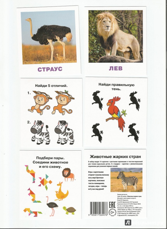 Иллюстрация 8 из 9 для Умный малыш. Животные жарких стран. Набор карточек для детей - Н. Ходюшина | Лабиринт - игрушки. Источник: Елена
