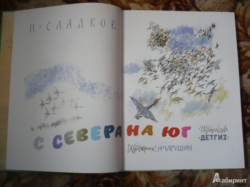 Иллюстрация 18 из 52 для С севера на юг - Николай Сладков | Лабиринт - книги. Источник: angela_kvitka