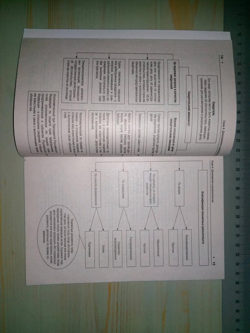 Иллюстрация 3 из 7 для Гражданский процесс в схемах. Учебное пособие - Тигран Алиев | Лабиринт - книги. Источник: Екатерина