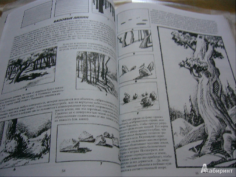 Иллюстрация 7 из 23 для Как рисовать пейзаж - Джек Хамм | Лабиринт - книги. Источник: Nika