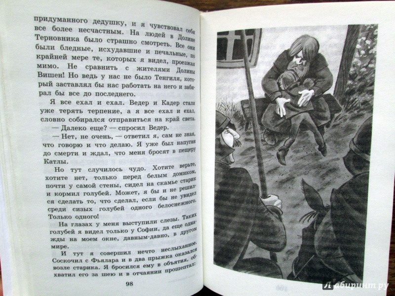 Иллюстрация 5 из 14 для Братья Львиное Сердце - Астрид Линдгрен | Лабиринт - книги. Источник: Зеленая шляпа
