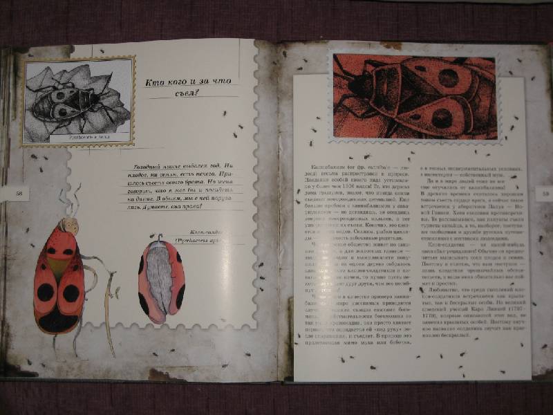 Иллюстрация 30 из 103 для Письма насекомых - Ольга Кувыкина | Лабиринт - книги. Источник: Трухина Ирина
