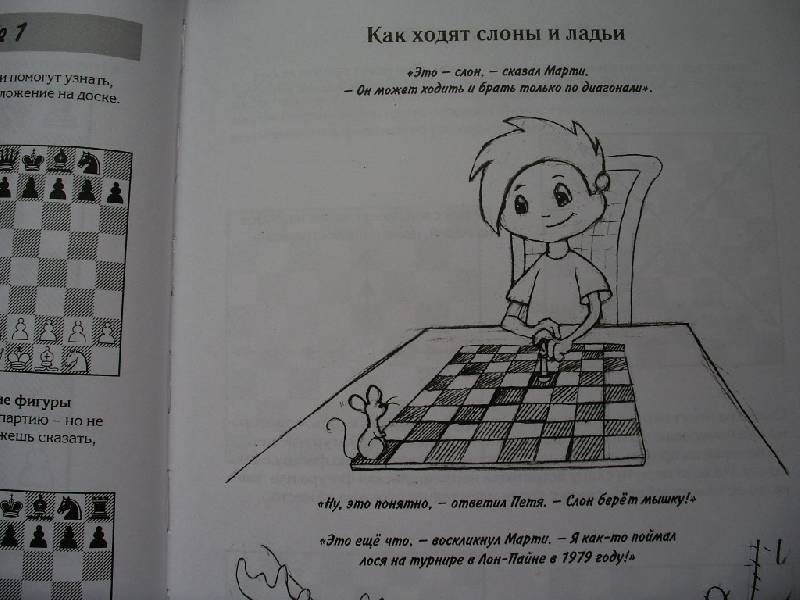 Иллюстрация 6 из 16 для Шахматы для детей. Подарочное издание - Чандлер, Миллиган | Лабиринт - книги. Источник: Tiger.