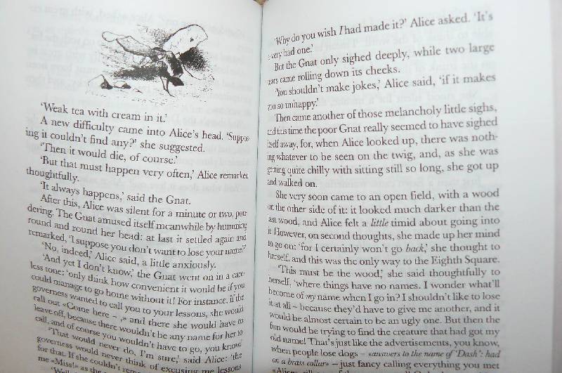 Иллюстрация 19 из 24 для Alice in Wonderland and Through the Looking-Glass - Lewis Carroll | Лабиринт - книги. Источник: zair