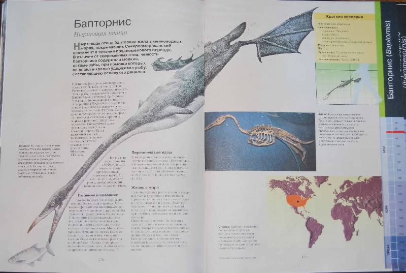Иллюстрация 28 из 32 для Большая энциклопедия динозавров - Баррет, Санс | Лабиринт - книги. Источник: sirafima