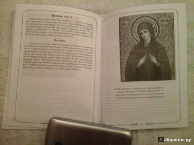 Иллюстрация 6 из 8 для Молитвы к 45 чудотворным иконам Божией Матери | Лабиринт - книги. Источник: Ксения  Ксения