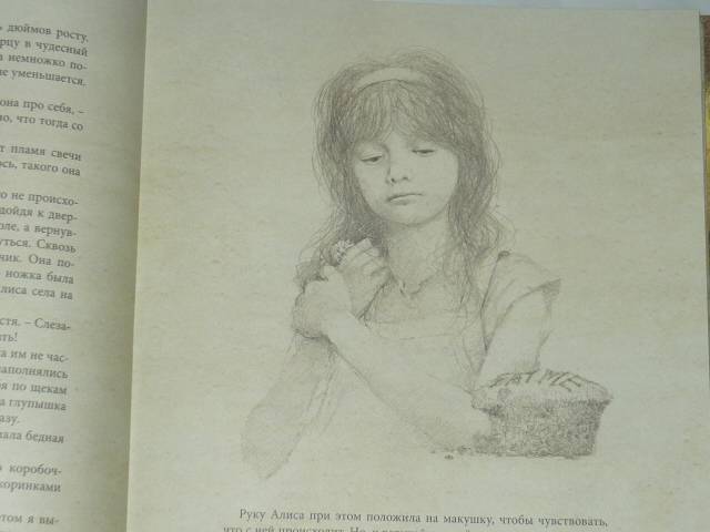 Иллюстрация 118 из 237 для Алиса в Стране чудес - Льюис Кэрролл | Лабиринт - книги. Источник: БеМека