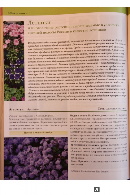 Иллюстрация 23 из 34 для Садовые растения от А до Я - Валентин Воронцов | Лабиринт - книги. Источник: С  Т