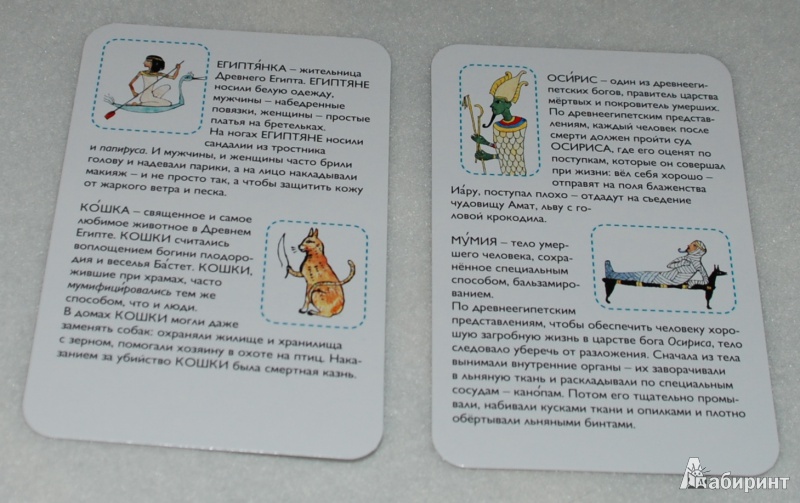 Иллюстрация 9 из 13 для Поймай Сфинкса: познавательная карточная игра - Екатерина Степаненко | Лабиринт - игрушки. Источник: Книжный кот