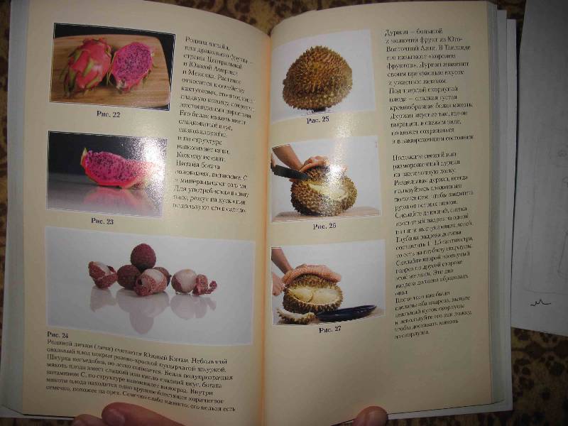 Иллюстрация 11 из 12 для Кулинарная книга сыроеда. Рецепты на каждый день - Бутенко, Бутенко, Бутенко | Лабиринт - книги. Источник: товарищ маузер