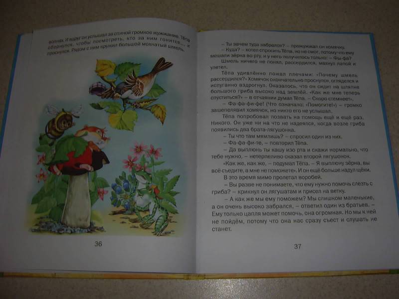 Иллюстрация 15 из 20 для Повелитель мыльных пузырей - Комзалова, Комзалова | Лабиринт - книги. Источник: Лилианна
