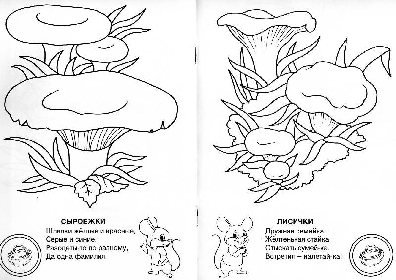 Иллюстрация 4 из 14 для Знаешь ли ты грибы-грибочки? - Елена Михайленко | Лабиринт - книги. Источник: Росинка