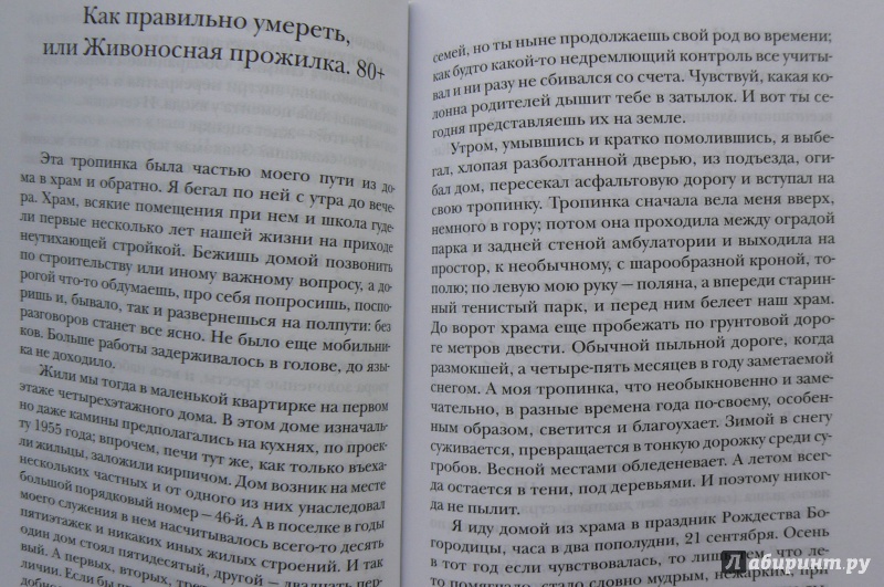 Иллюстрация 4 из 5 для Любовь не ищет своего. Рассказы и очерки - Павел Протоиерей | Лабиринт - книги. Источник: Марина