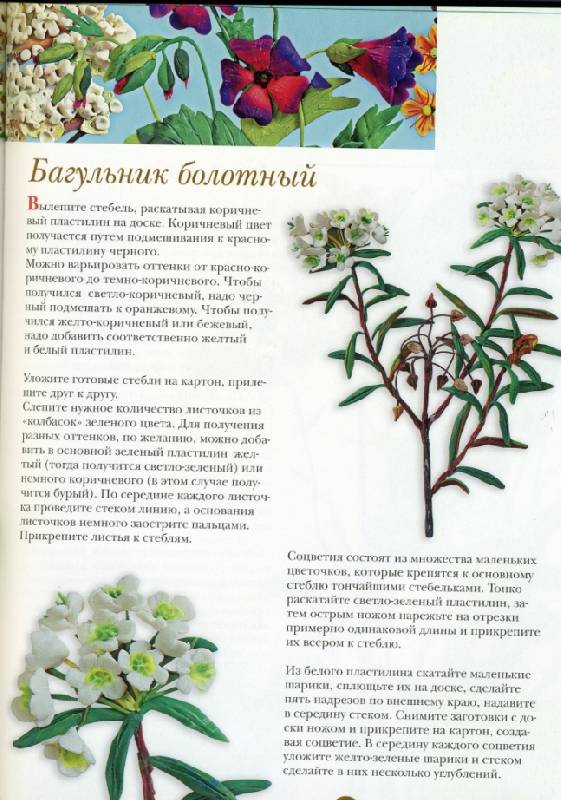 Иллюстрация 20 из 36 для Цветы из разных материалов - Ляукина, Карелина, Галанова | Лабиринт - книги. Источник: ТТ