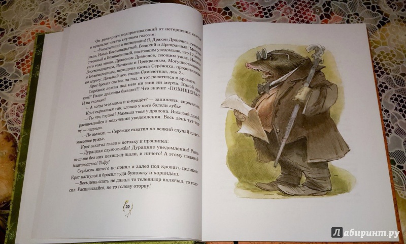 Иллюстрация 130 из 224 для Серёжик - Елена Ракитина | Лабиринт - книги. Источник: Сенькина  Татьяна