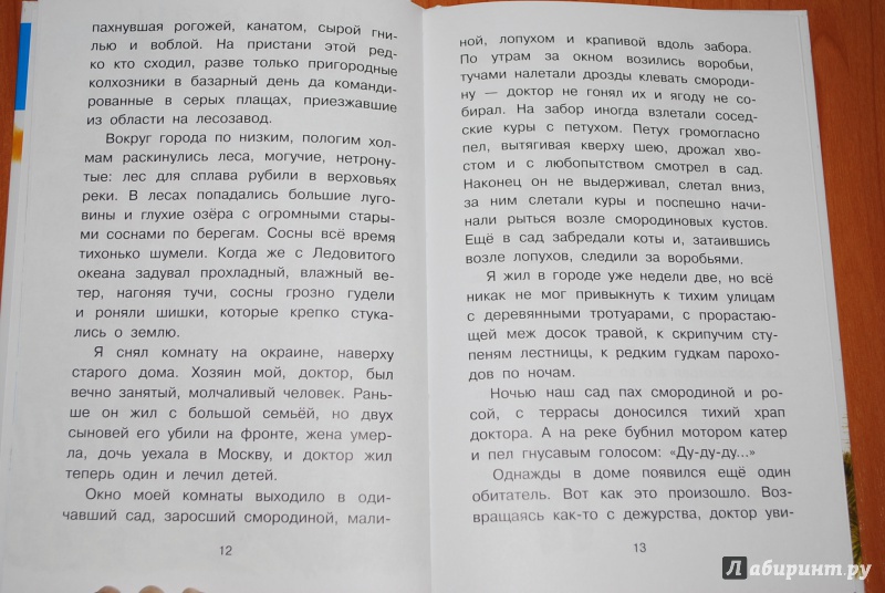 Иллюстрация 10 из 32 для Арктур - гончий пёс - Юрий Казаков | Лабиринт - книги. Источник: Нади