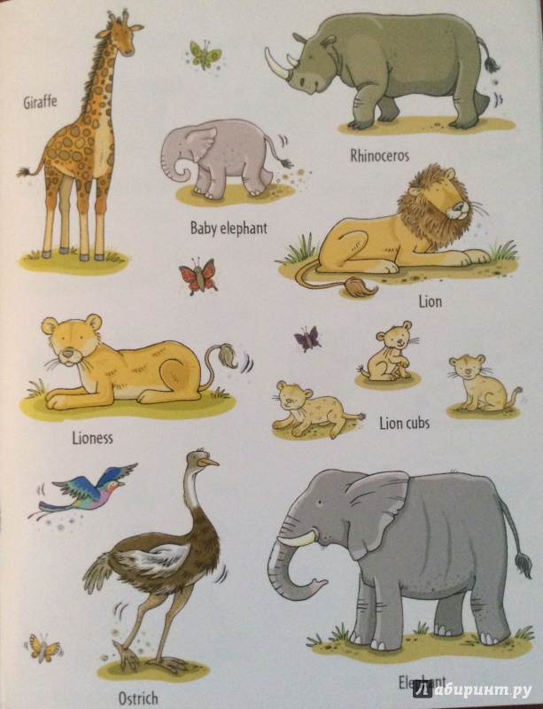 Иллюстрация 6 из 14 для Animal Sticker Book - Jessica Greenwell | Лабиринт - книги. Источник: Потапова  Юлия Владиславовна