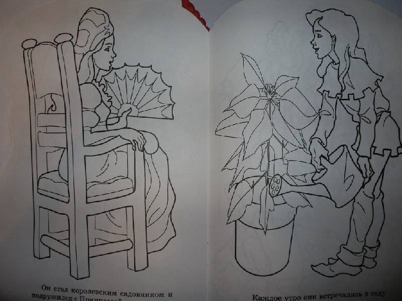Иллюстрация 2 из 4 для Принцесса и эльф (раскраска) | Лабиринт - книги. Источник: Tiger.