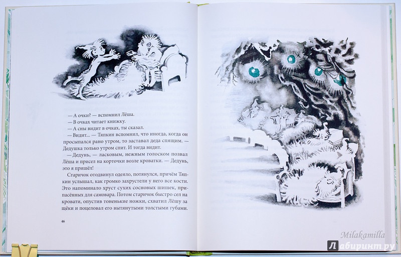 Иллюстрация 73 из 86 для Тяпкин и Леша - Майя Ганина | Лабиринт - книги. Источник: Букландия