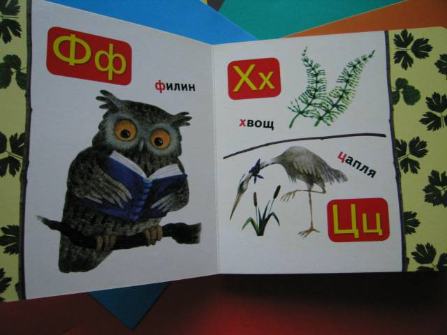 Иллюстрация 18 из 22 для Лесная азбука | Лабиринт - книги. Источник: Валька  Анна