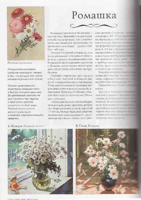 Иллюстрация 41 из 44 для Самые красивые цветы мира | Лабиринт - книги. Источник: Наталья Плотникова