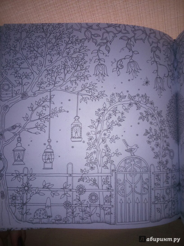 Иллюстрация 18 из 149 для Таинственный сад - Джоанна Бэсфорд | Лабиринт - книги. Источник: Ефремова  Ксения