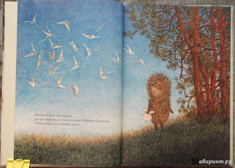 Иллюстрация 6 из 83 для Ежик в тумане - Козлов, Норштейн | Лабиринт - книги. Источник: Агаточка