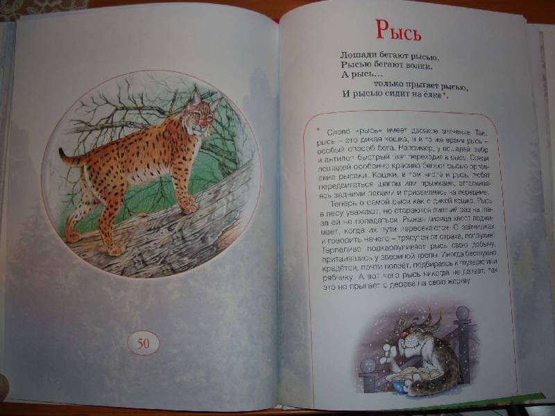 Иллюстрация 9 из 15 для На лесной полянке - Усачев, Тихонов | Лабиринт - книги. Источник: Нинуля