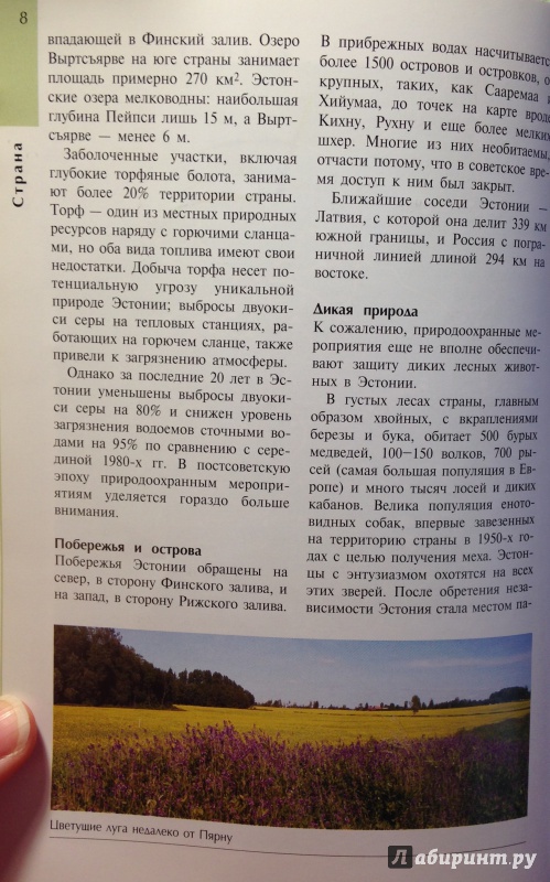 Иллюстрация 16 из 28 для Эстония. Путеводитель - Робин Голди | Лабиринт - книги. Источник: Tatiana Sheehan
