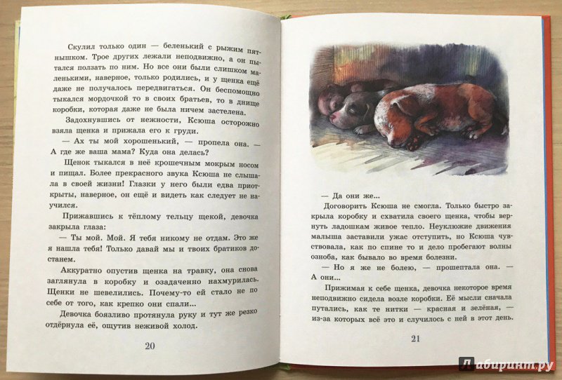 Иллюстрация 23 из 32 для Коробочка - Юлия Лавряшина | Лабиринт - книги. Источник: Книжный шкаф детям