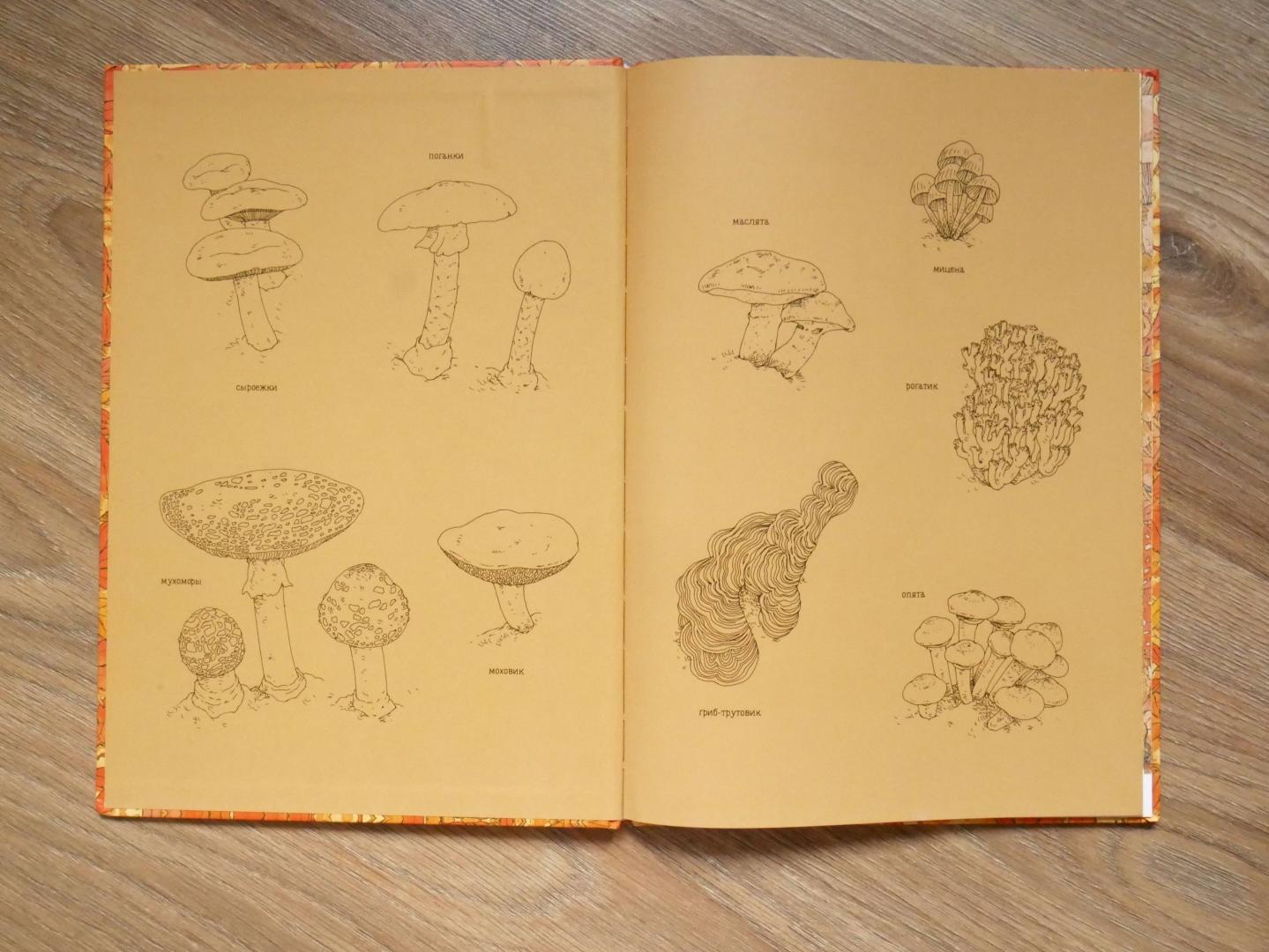 Иллюстрация 30 из 42 для 14 лесных мышей. Парад грибов - Кадзуо Ивамура | Лабиринт - книги. Источник: Чижова  Анна