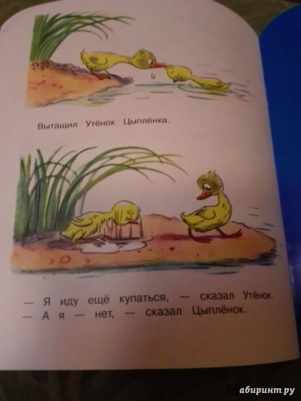 Иллюстрация 24 из 32 для Цыплёнок и Утёнок - Владимир Сутеев | Лабиринт - книги. Источник: Zhukova  Polina