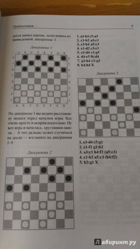 Иллюстрация 15 из 28 для Немного о шашках, но по существу - Александр Вирный | Лабиринт - книги. Источник: Wiseman