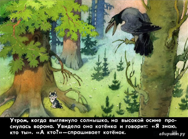 Иллюстрация 25 из 43 для Упрямый котёнок - Иван Белышев | Лабиринт - книги. Источник: Shurshun