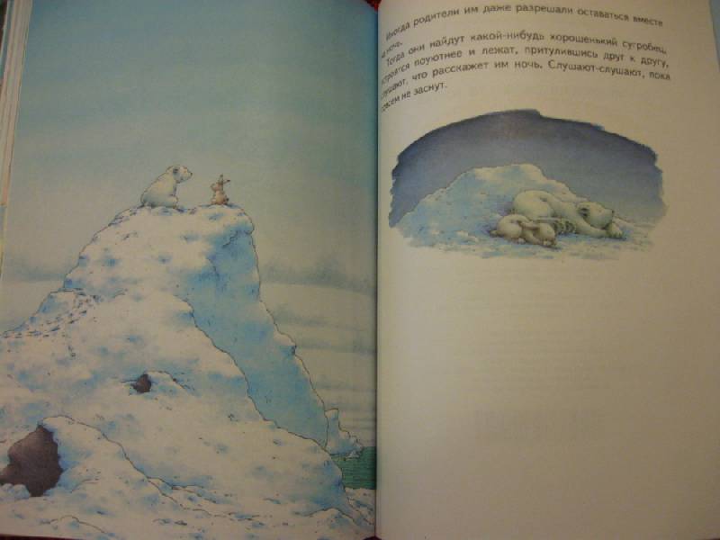 Иллюстрация 71 из 86 для Барни, белый медвежонок - Беер Де | Лабиринт - книги. Источник: Indol