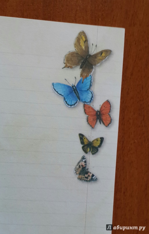 Иллюстрация 4 из 32 для Мои мысли, легкие, как бабочки. Книга для записей | Лабиринт - канцтовы. Источник: Сазонова  Алиса
